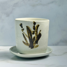 Load image into Gallery viewer, Sweet Vanilla & Spice - Japanese, Hand Painted Bamboo, Cup Candle
