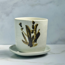 Load image into Gallery viewer, Sweet Vanilla &amp; Spice - Japanese, Hand Painted Bamboo, Cup Candle
